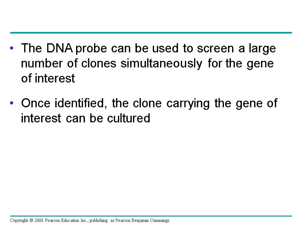 The DNA probe can be used to screen a large number of clones simultaneously